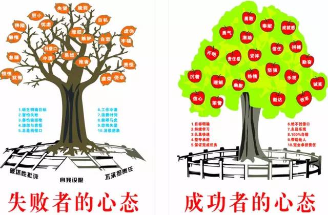 1595489919766667.jpg 2.jpg