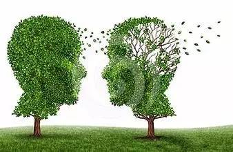 1595489900977536.jpg 1.jpg