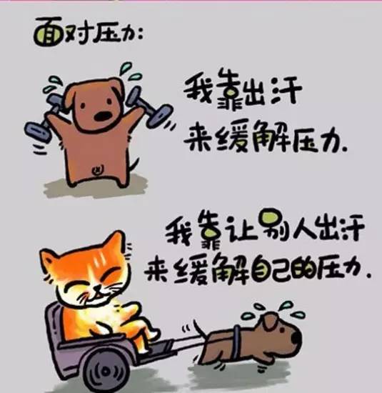 1595489940215243.jpg 3.jpg