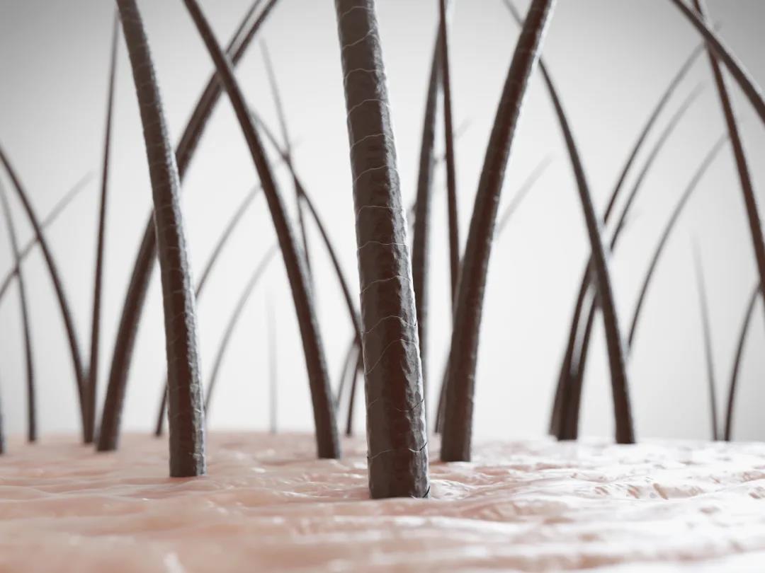 1636685340892611.jpg 毛浪.jpg