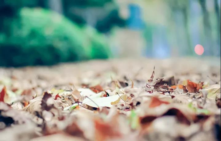 1637631891102171.jpg 微信图片_20211123094457.jpg