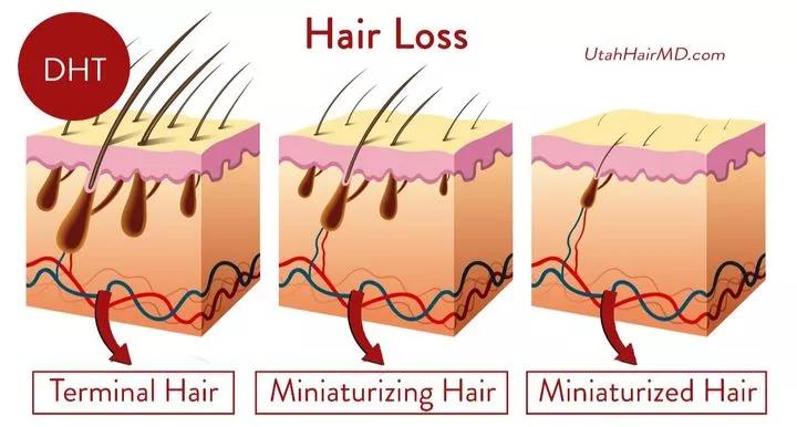 1637828755330345.jpg 44.jpg