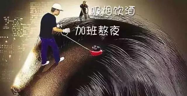 1637828813130081.jpg 55.jpg