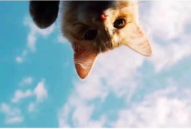 1640917760865070.jpg 微信图片_20211231102918.jpg