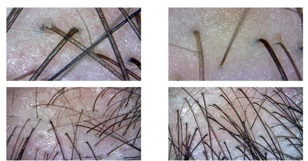 1641453755125909.jpg 微信图片_20220106152206.jpg