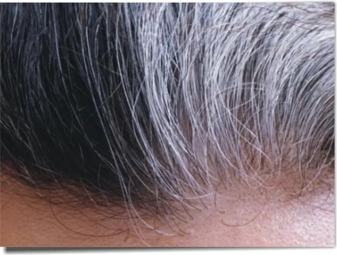 1645597213115613.jpg u=599471476,2095982627&fm=253&fmt=auto&app=138&f=JPEG.webp.jpg