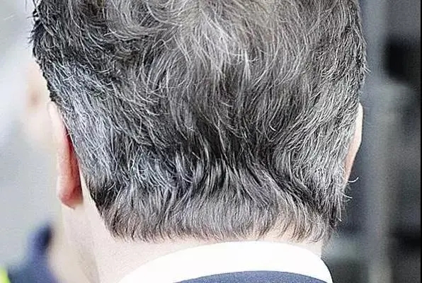 1645597506166079.jpg u=1374808356,888750855&fm=253&fmt=auto&app=120&f=JPEG.webp.jpg